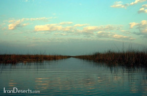 744ee21f-db43-44c0-9ea6-602620f14704